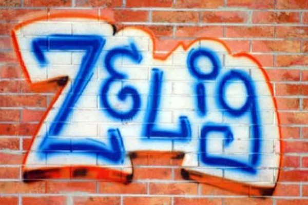 Zelig 2016