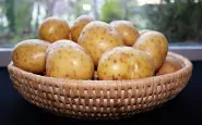 coltivare patate nei sacchi