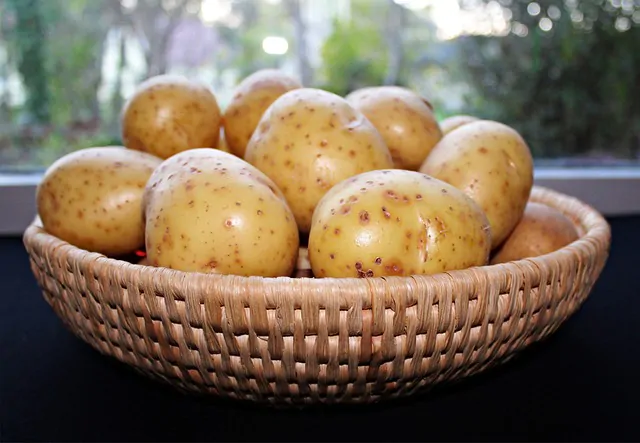 coltivare patate nei sacchi