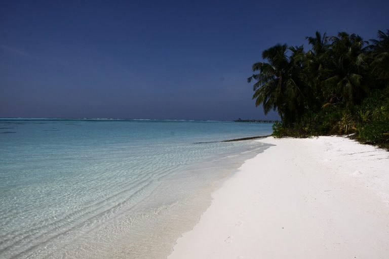 Maldive