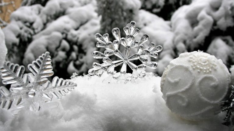 neve finta neve finta