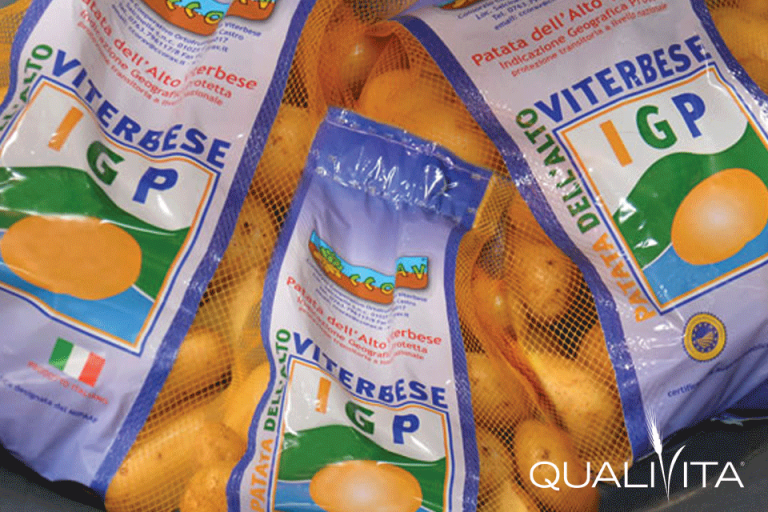 Quanto produce una pianta di patate Quanto produce una pianta di patate