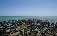 stromatoliti 900x600