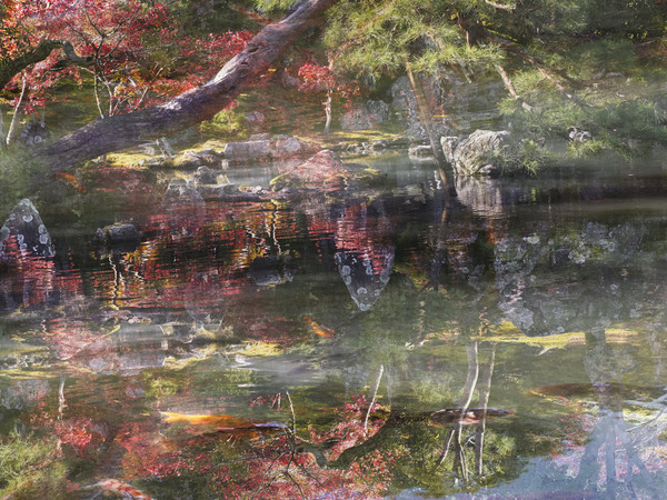 "Ori Gersht: The Floating World" a Milano