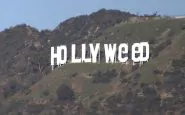 Hollyweed