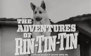 Le avventure di Rin Tin-Tin: la serie televisiva