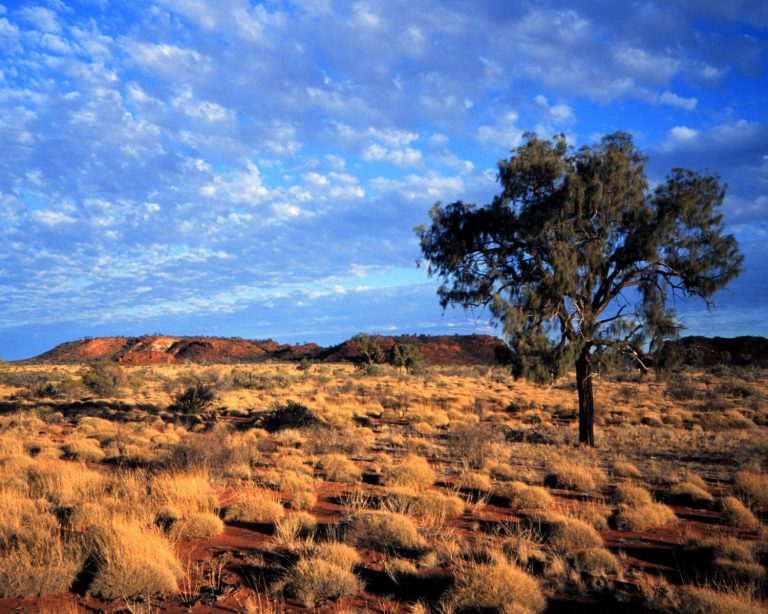 Australia