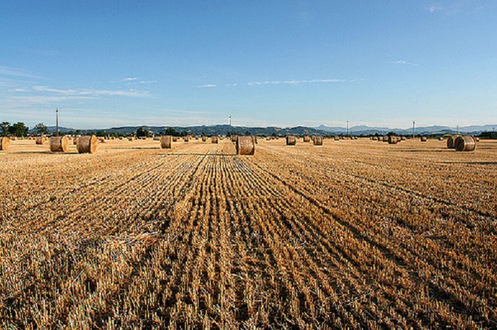 agricoltura Imprenditore agricolo