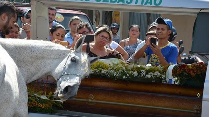 cavallo-piange