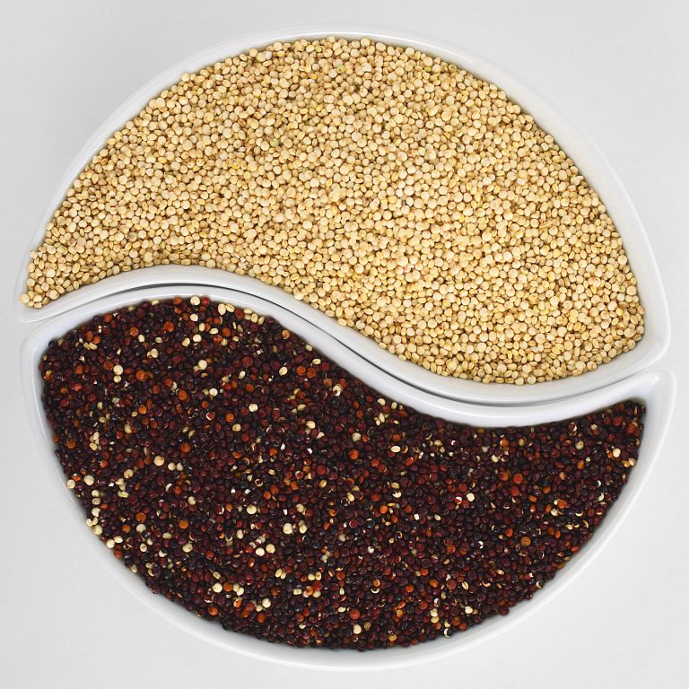 Quinoa: cos'è e che gusto ha