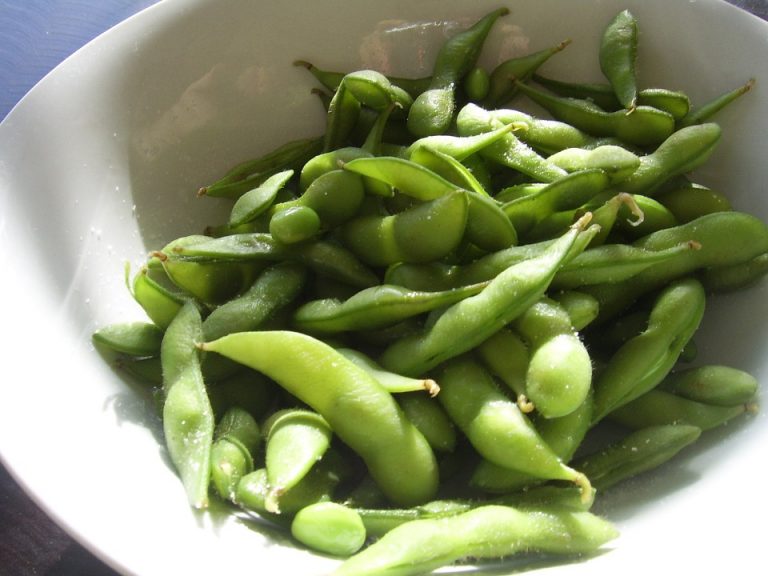 soia verde