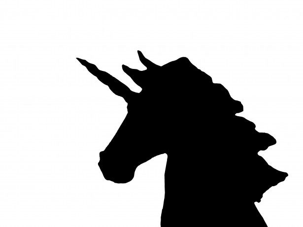 Unicorno è mai esistito? Le teorie degli scienziati