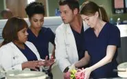 Grey'sa Anatomy: cosa ci riserverà la stagione 14?