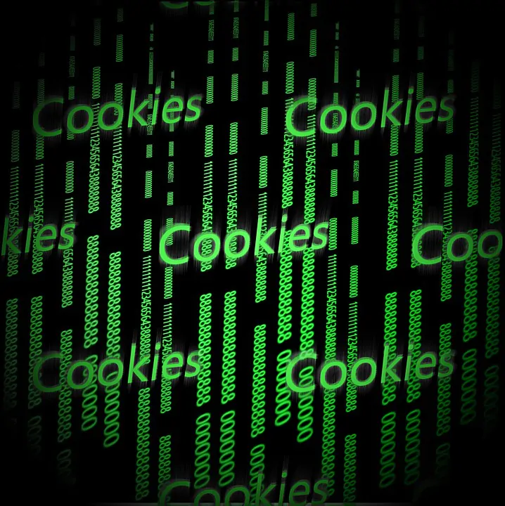 Cookie: cosa significa terze parti