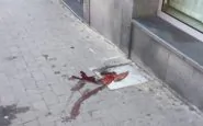 Cane trascinato per la strada col mezzo: video della crudeltà