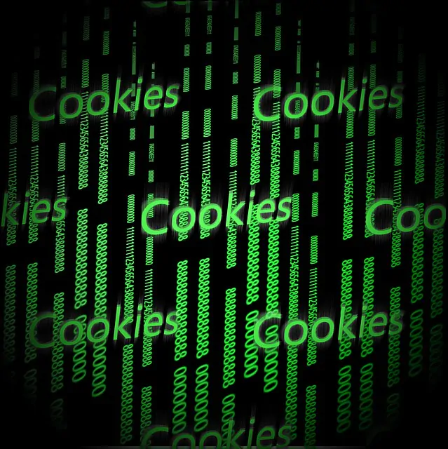 cookies 956823 640