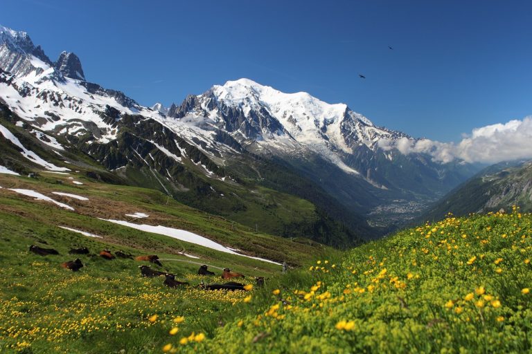 altezza del Monte Bianco altezza del Monte Bianco