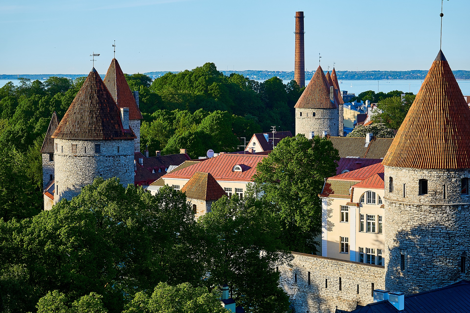 tallin