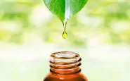 Cinque modi per usare il tea tree oil