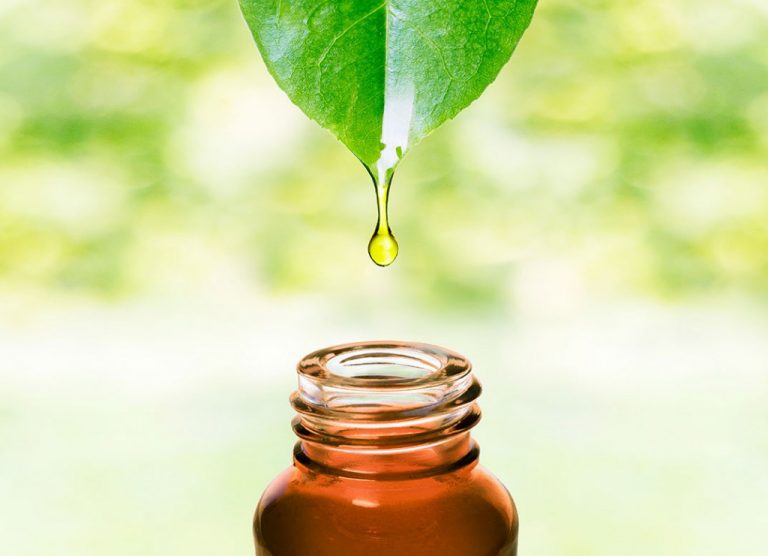 Cinque modi per usare il tea tree oil Cinque modi per usare il tea tree oil