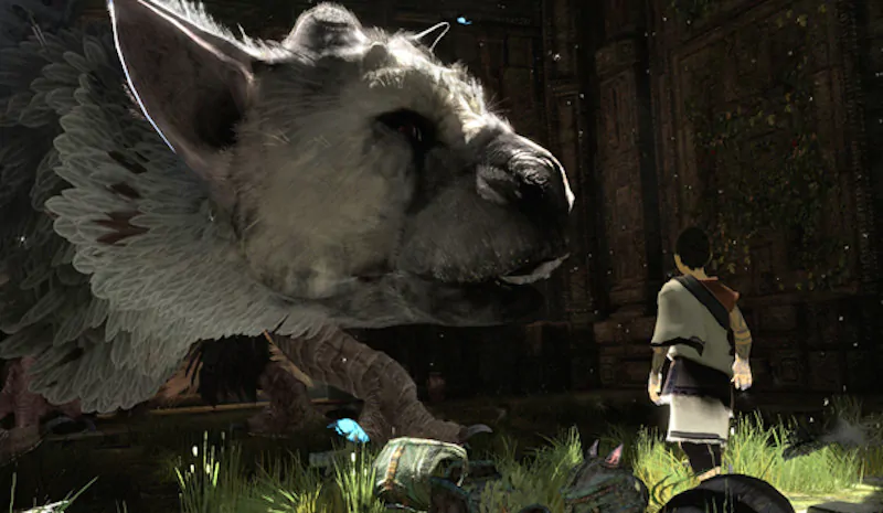 the last guardian