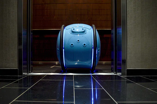 Gita (robot valigia): cose da sapere