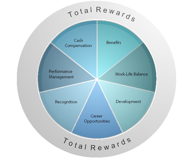 Total Reward Statement