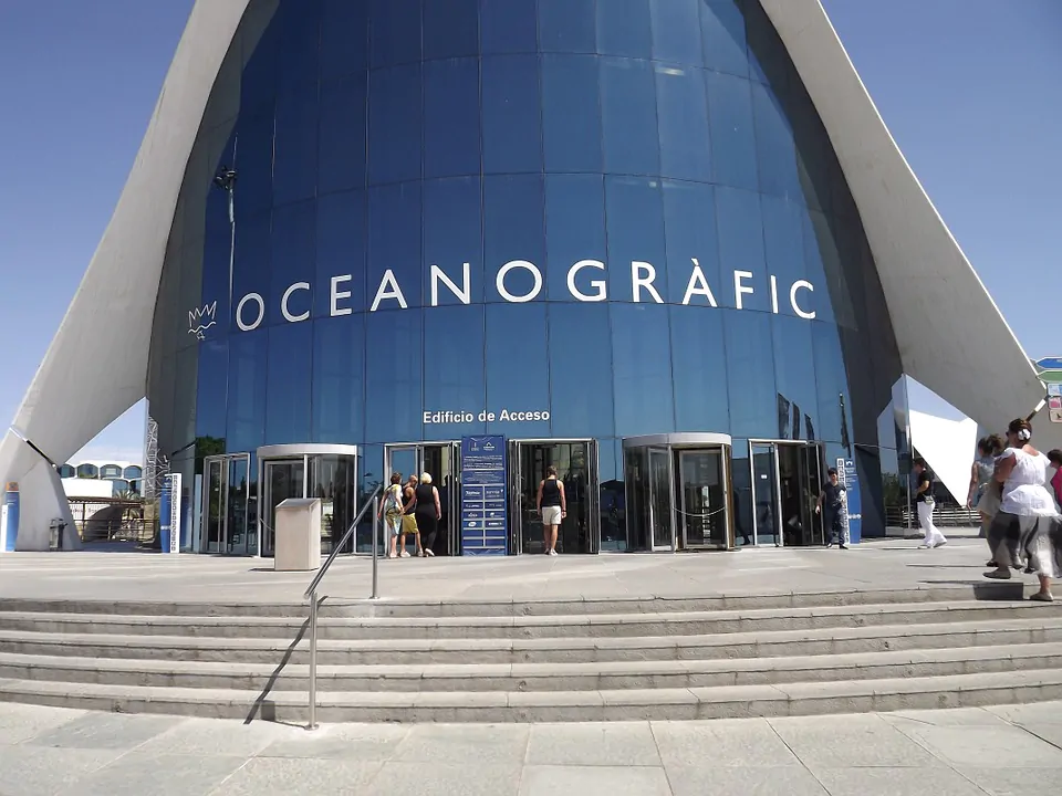 Valencia acquario oceanografico: prezzi