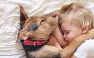 cani e bambini 5 consigli per una corretta amicizia