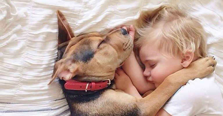 cani e bambini 5 consigli per una corretta amicizia 768x401