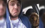 Cane preoccupato dalla guida del padrone in macchina