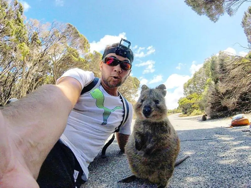 Quokka sono gli animali più felici al mondo: vogliono solo essere abbracciati