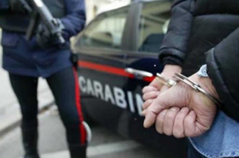 Milano: droga nelle cassette di frutta e verdura. Trovati 60 kg di Marijuana e 500 gr di hashish
