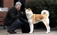 hachiko