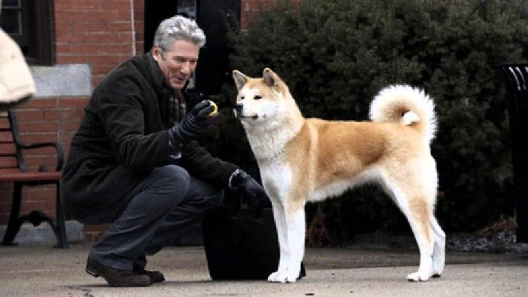hachiko 768x432