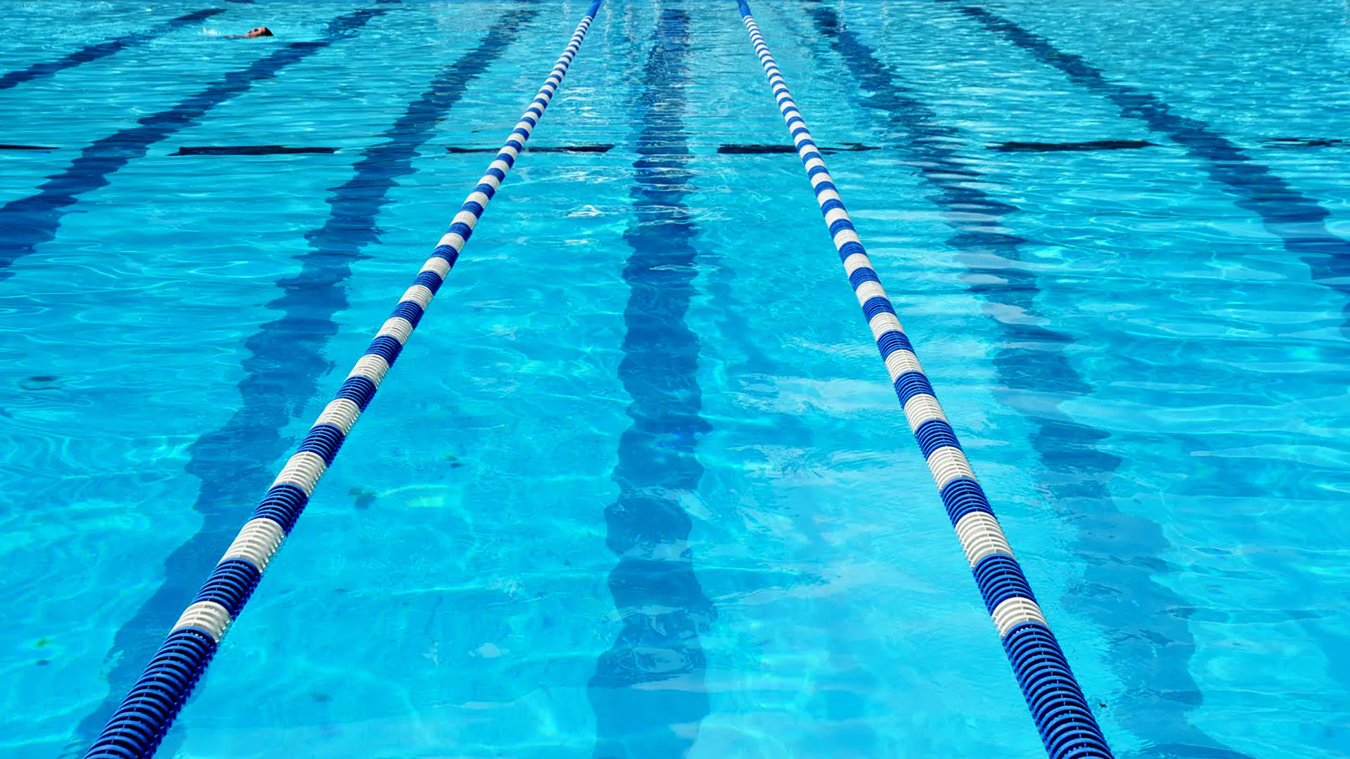 Pipì in piscina: studio canadese rivela la percentuale media di urina nell'acqua