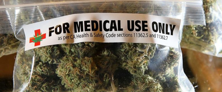 Cannabis