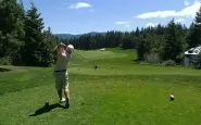 Golfer swing