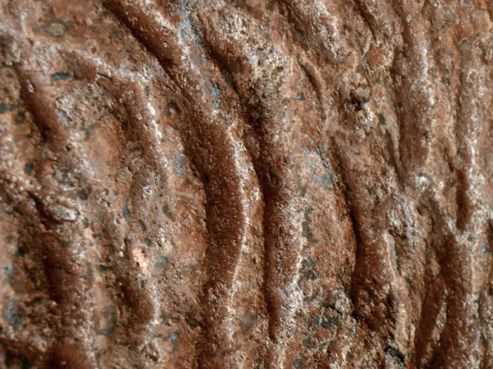 Paleotoca preistoriche