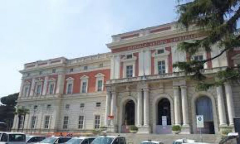 cardarelli cardarelli