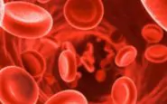 Le 10 curiosità sul sangue e sul gruppo sanguigno