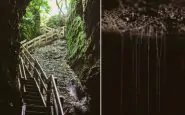 Nuova Zelanda: fotografo scopre creature strane in grotta