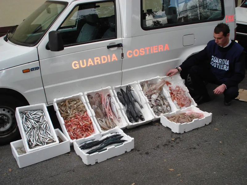 Calabria: sequestrato carico di pesce ittico non tracciato, sanzione di 1500 euro