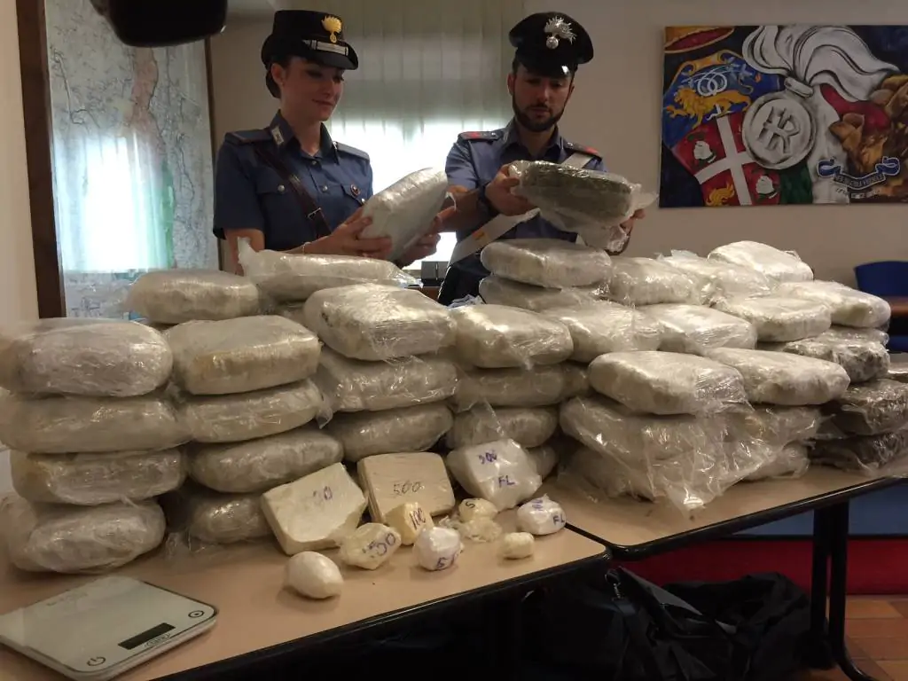 Torino, 200 kg di marijuana: sequestrati in un camion di trasporti