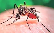 Brasile emergenza Zika: il governo la dichiara conlusa