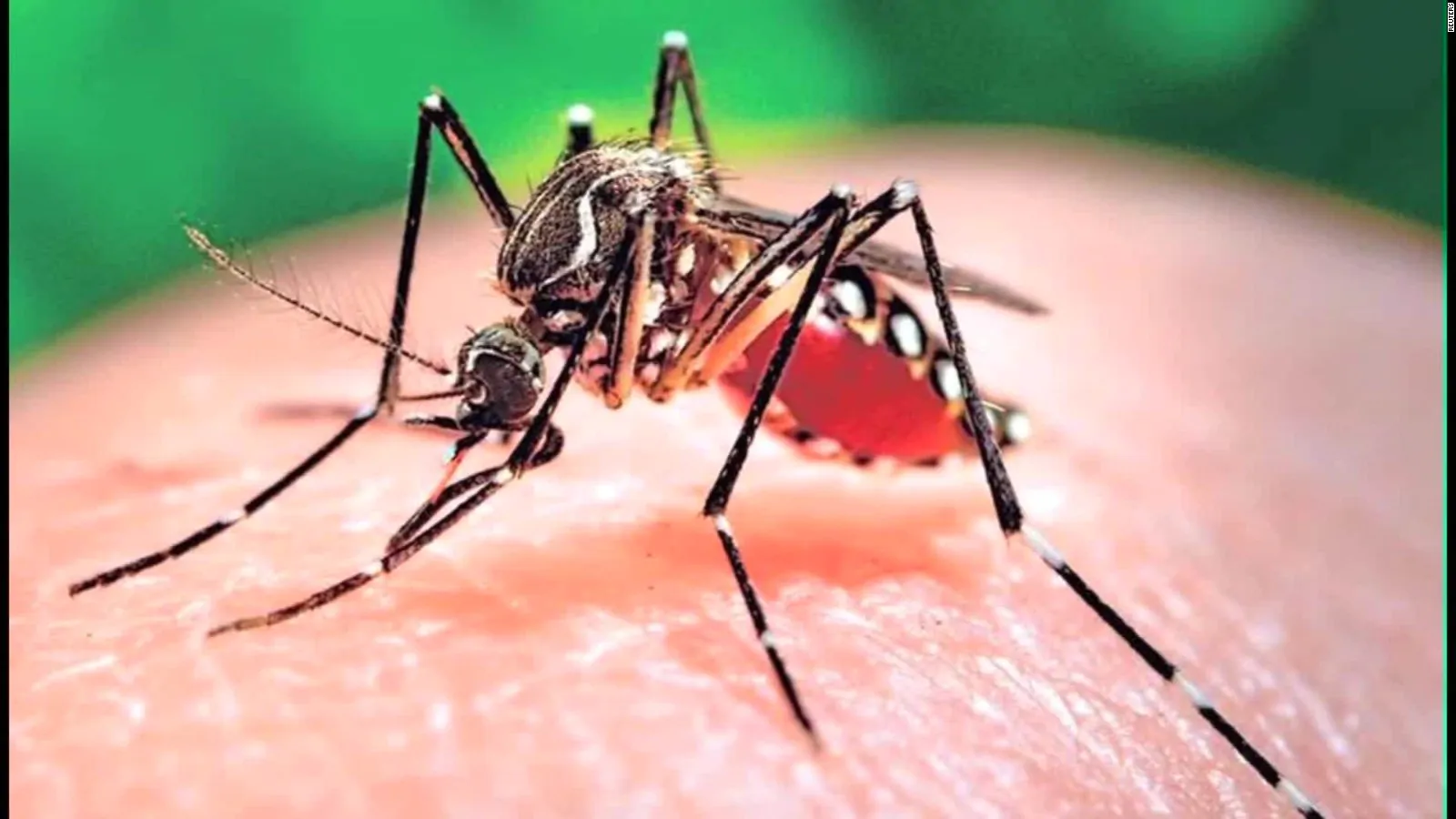 Brasile emergenza Zika: il governo la dichiara conlusa