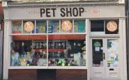 Pet shop: ecco come aprire un negozio per animali