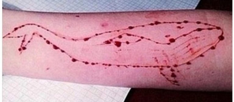 Blue Whale