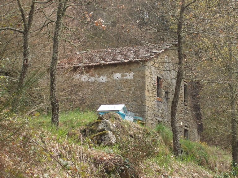 Case abbandonate Casa abbandonata
