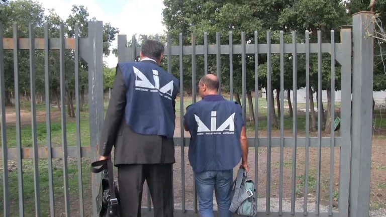 Lidl, amministrazione giudiziaria per 4 supermercati: l'accusa è di attività criminale